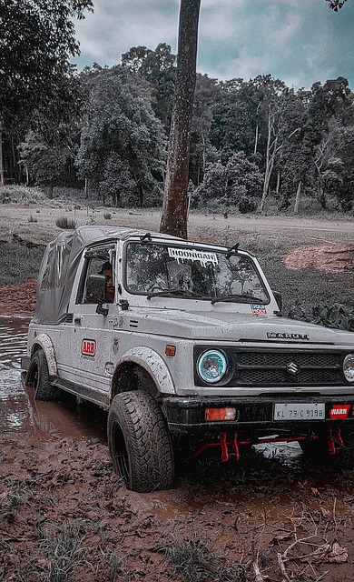 季中争夺更 季中争夺更