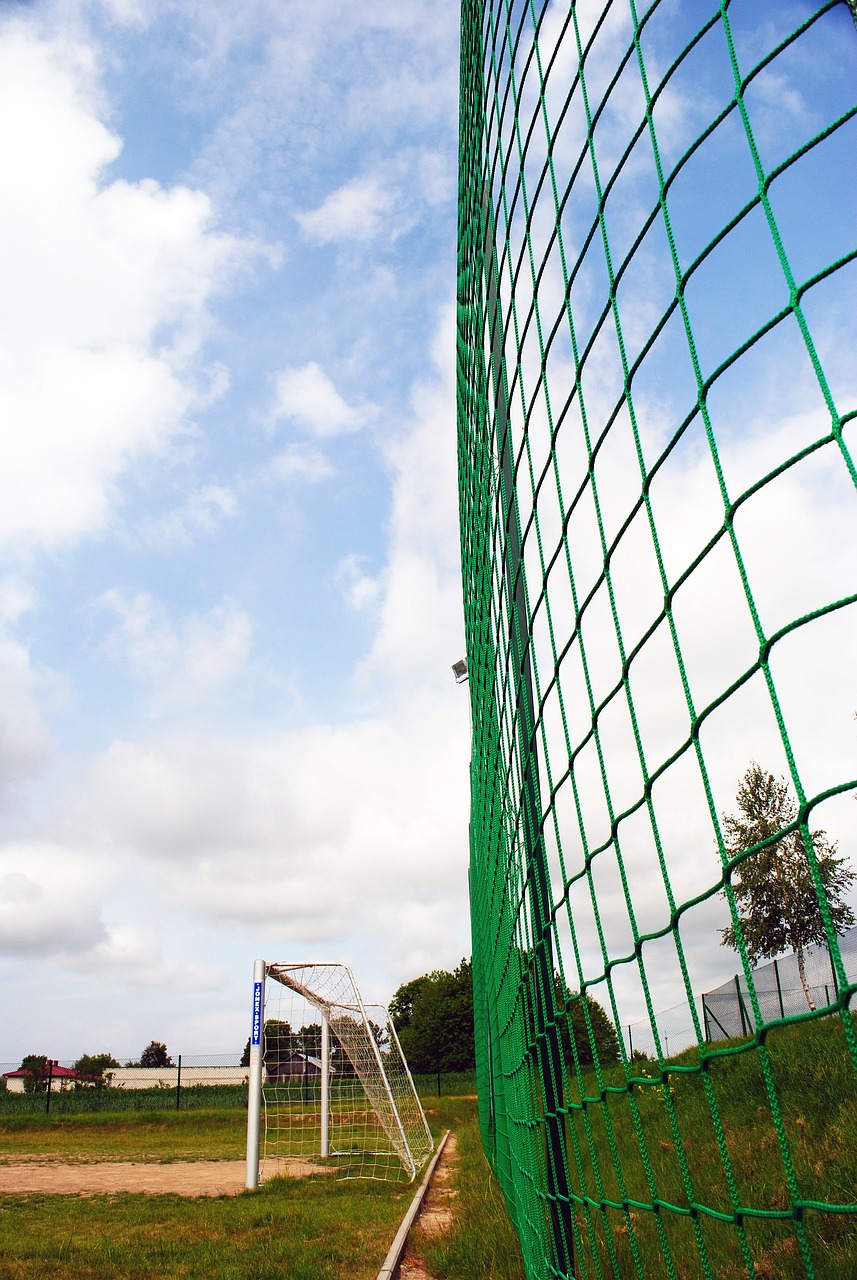 但她在比赛 但她在比赛