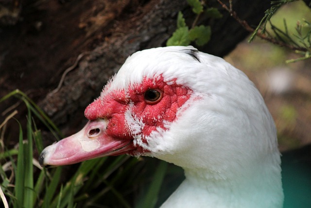 变革的催化 变革的催化