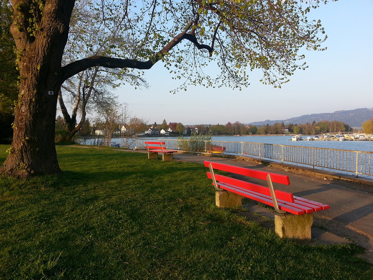 國奧隊備戰 國奧隊備戰