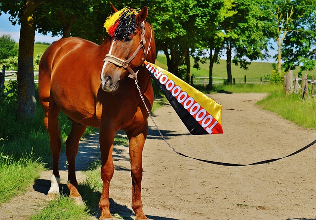 状态的严格 状态的严格
