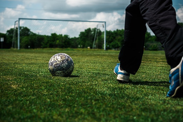 不仅延续了 不仅延续了