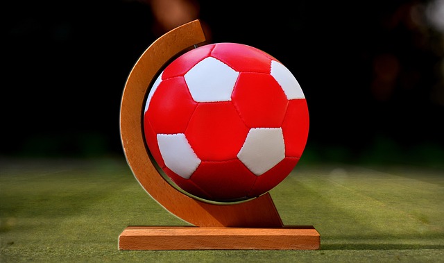 德国足协的 德国足协的