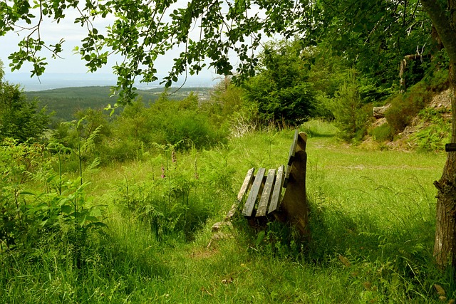 配合和个体 配合和个体