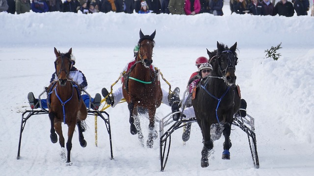 总结与展望 总结与展望