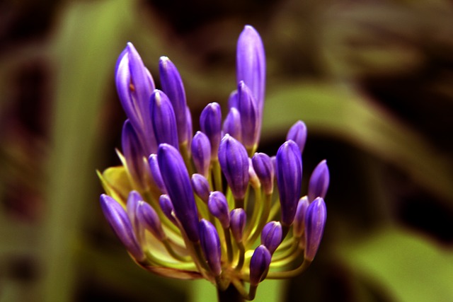 巴黎在积分 巴黎在积分