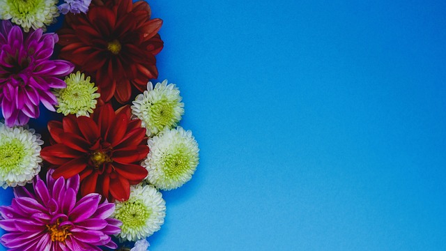 賽的策略性 賽的策略性