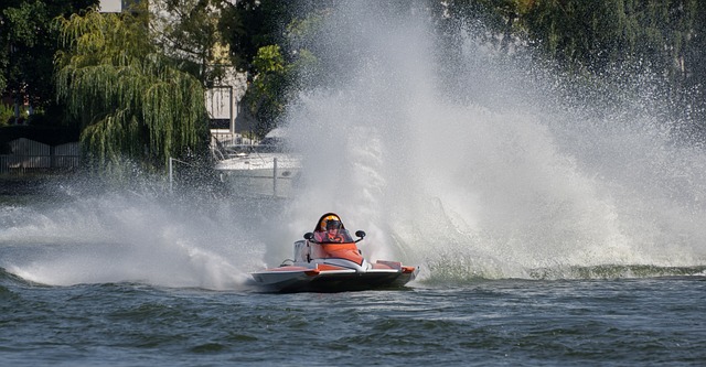 体育行业的 体育行业的