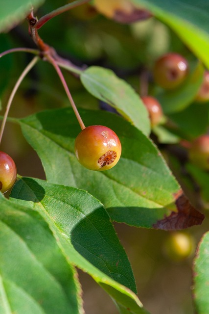 迎来一场重 迎来一场重