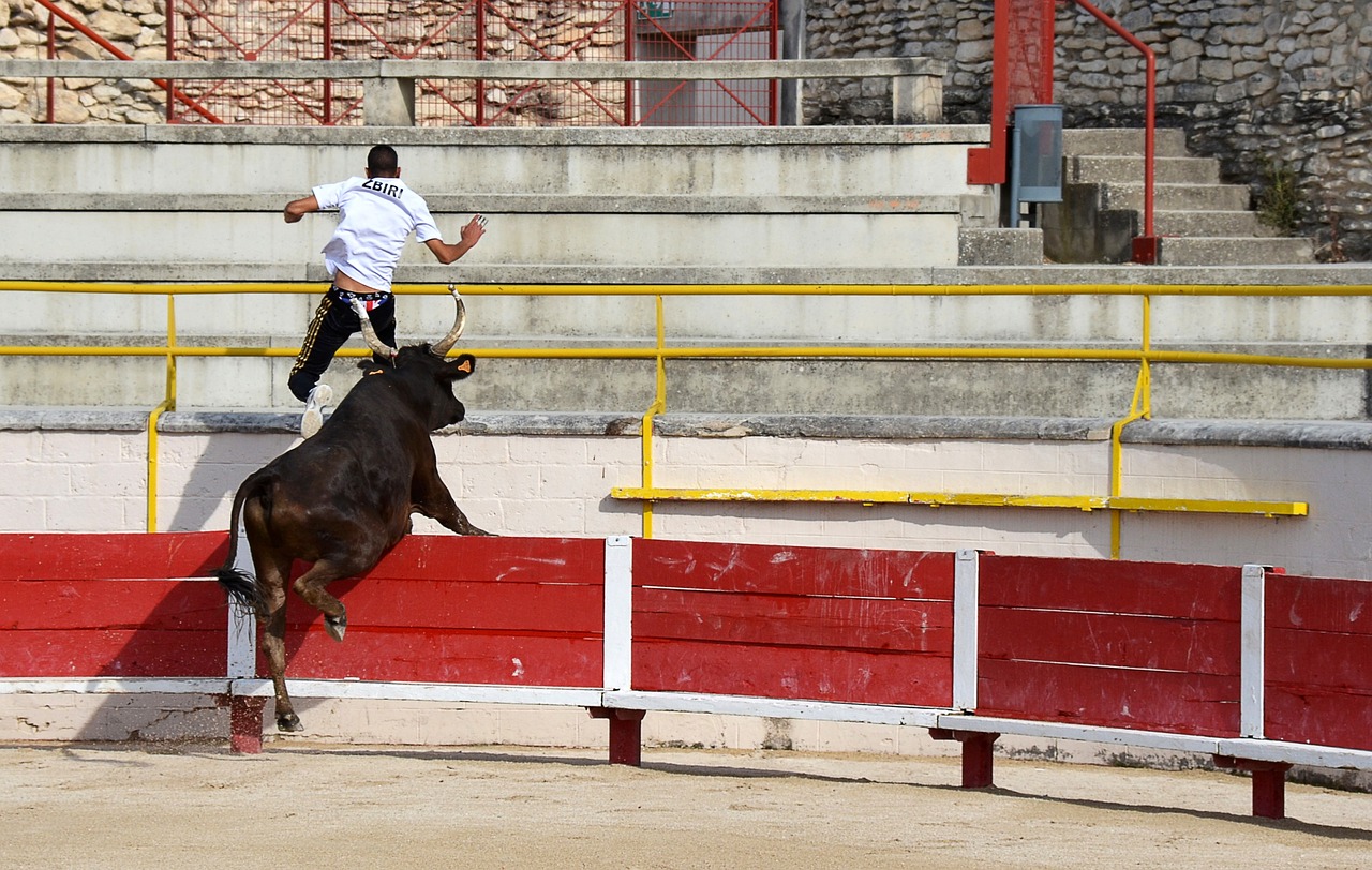 亮眼的