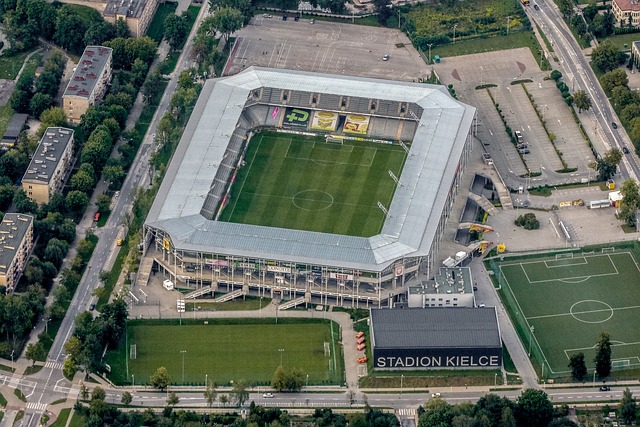 阿尼的青睐