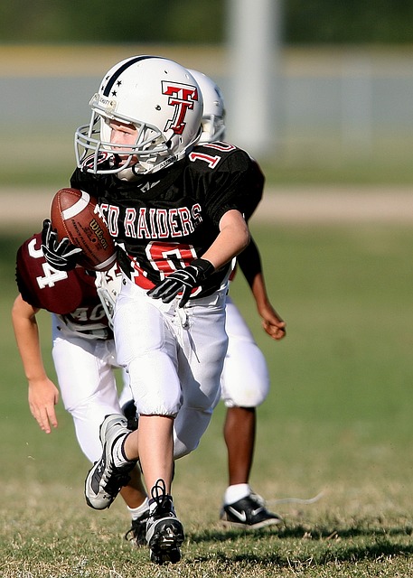盟已经只是